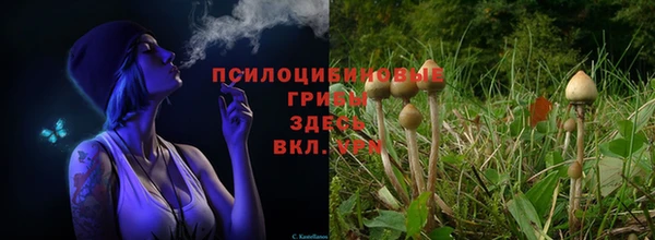 амф Семёнов