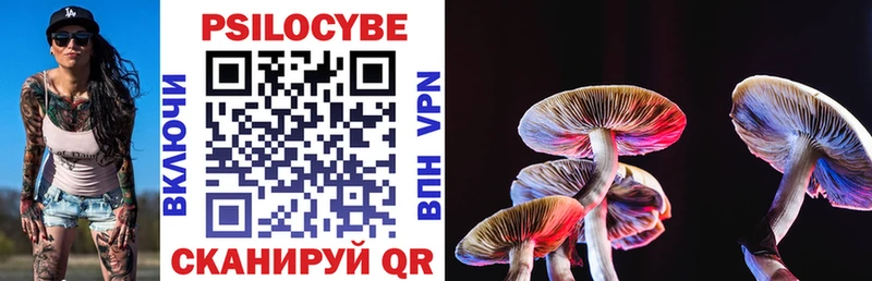 Псилоцибиновые грибы Psilocybine cubensis  Балахна 